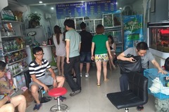 青橙庄园宠物专售旗舰店(上海健康狗基地)5