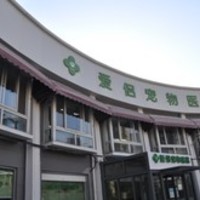 爱侣宠物医院(灵石路总店) 封面小图