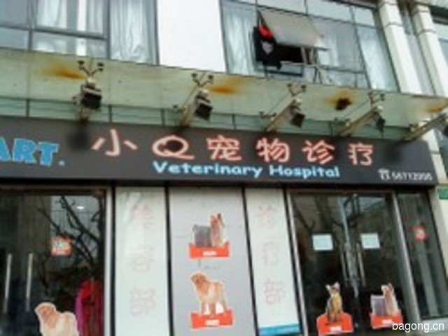 小Q宠物诊疗(德平路店) 封面大图