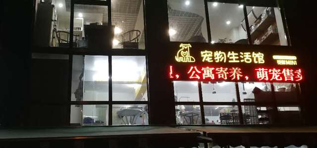 觅你宠物徐东店