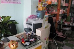 仔仔宠物店3