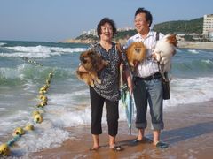 ：带着我家的狗狗在威海高区的海边沙滩、天津的海河边、烟台、北京、蓟州、唐山、保定、塘沽等地的旅游。在威海和天津带狗狗出游最舒适，尤其是威海和欧洲的法国、意大利、奥地利等发达国家一样狗狗可以入住酒店，真是太方便了。