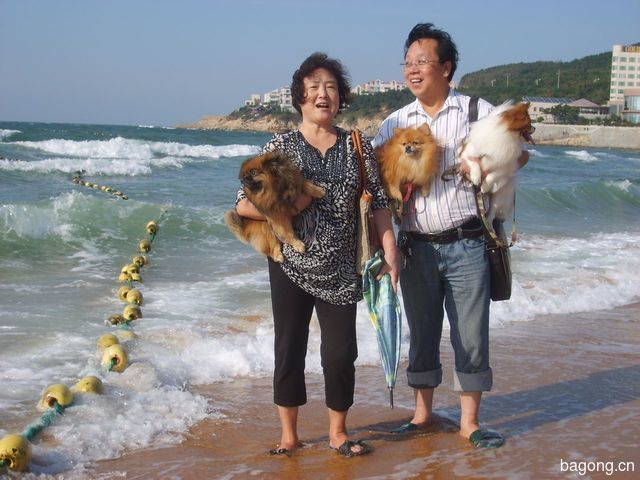 带着我家的狗狗在威海高区的海边沙滩、天津的海河边、烟台、北京、蓟州、唐山、保定、塘沽等地的旅游。在威海和天津带狗狗出游最舒适，尤其是威海和欧洲的法国、意大利、奥地利等发达国家一样狗狗可以入住酒店，真是太方便了。