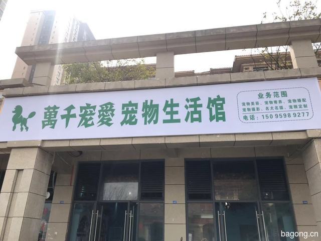 萬千宠愛宠物生活馆 封面大图