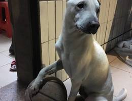 [cp]1月10号早上八点左右，我家...
