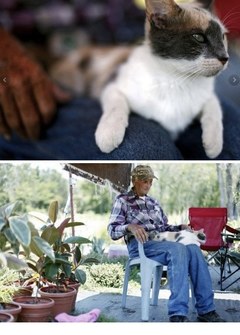 ：【恩图报流浪猫救了85岁老板一命】美国一85岁老翁独自顾一间水果摊,一年前,一只流浪喵星人天天来光顾,老翁也慷慨地给它食物.今年4月某天凌晨