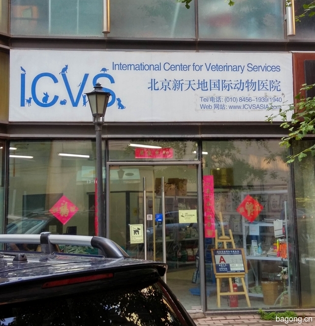北京新天地国际动物医院ICVS 封面大图
