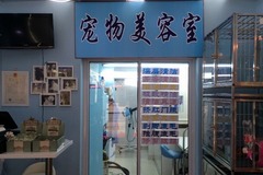 聚甜宠物商店0