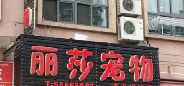 丽莎宠物(友谊路店)0