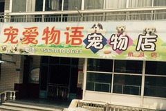 宠爱物语宠物店0