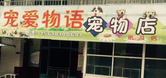 宠爱物语宠物店0