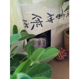 刚给我家Bela做的小窝，门前有花又有球~~