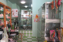 仔仔宠物店2