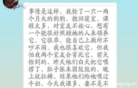 学生党捡到的小田园找家1