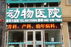 北京乖乖乐动物医院环境0