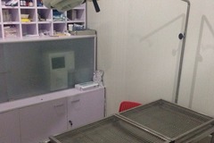 KD宠物健康专家4