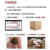 嘟嘟宠乐缘 封面小图
