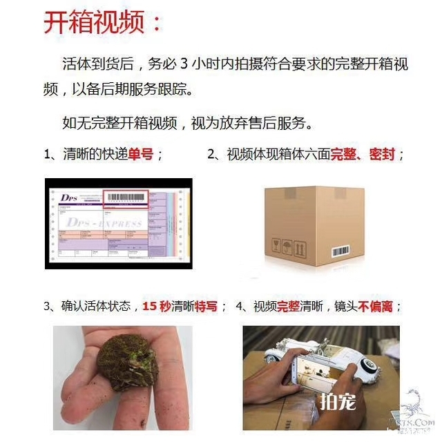 嘟嘟宠乐缘 封面大图