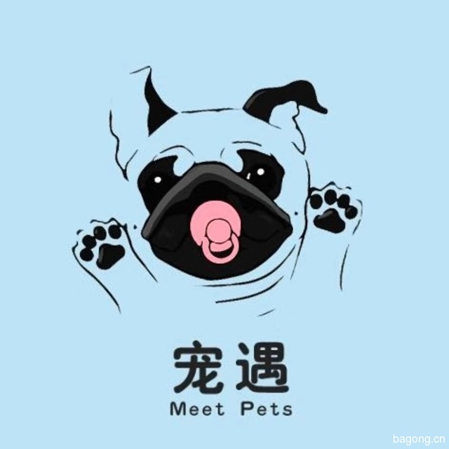 宠遇MeetPets 封面大图