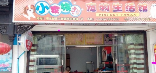 小家族宠物生活馆(三新路店)1