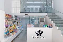 HAMMER锤子宠物店0