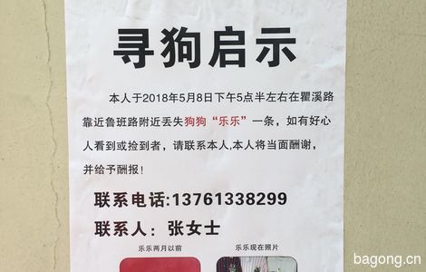 寻狗启示，本人于2018年5月8日下...