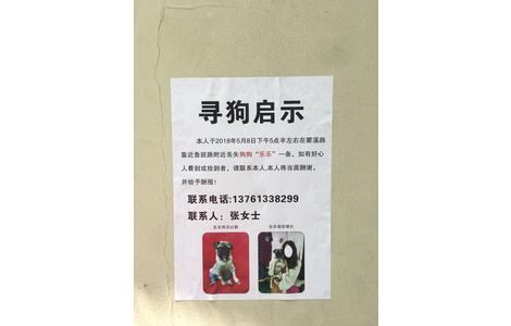 寻狗启示，本人于2018年5月8日下...
