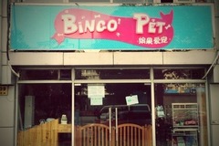 Bingo Pet缤果爱宠宠物店0