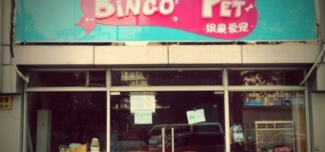 Bingo Pet缤果爱宠宠物店0