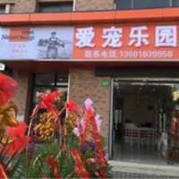 爱宠乐园宠物 封面小图