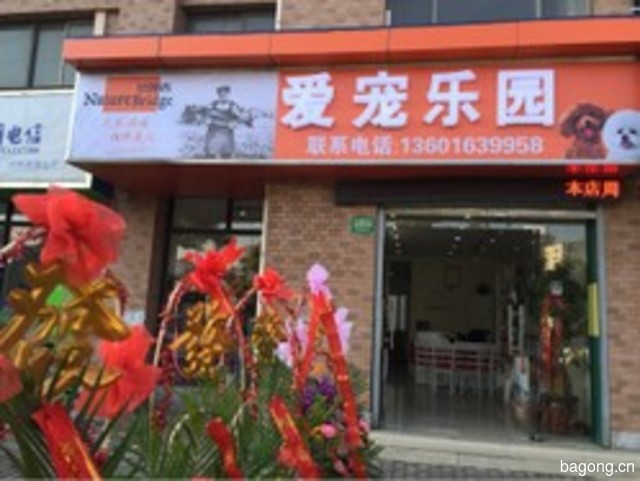 爱宠乐园宠物 封面大图