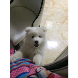 福星...🌟的宝贝,戳进来点个赞啦~