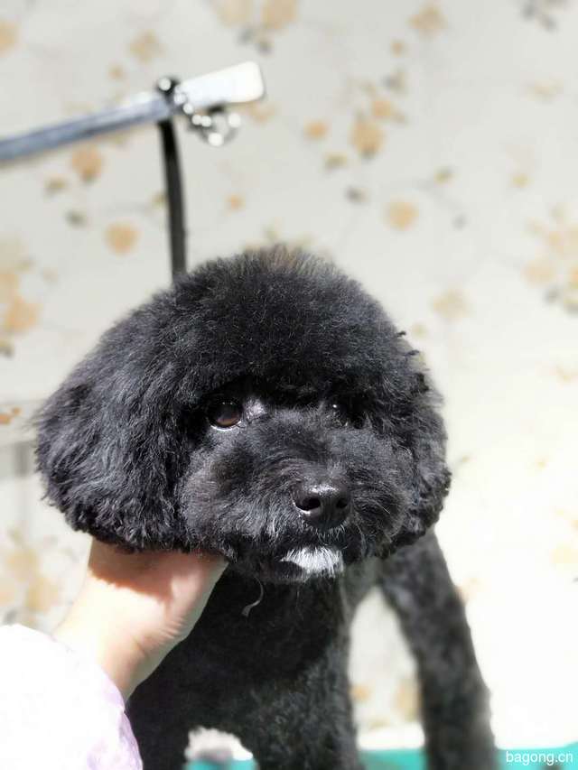 沈阳乐宠动物院 封面大图