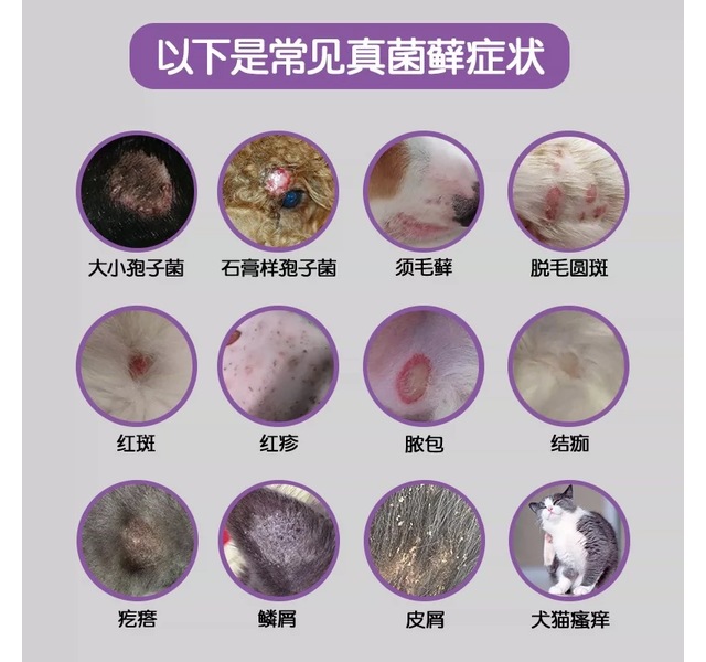 瑞沃特宠物除菌除螨喷雾