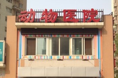 北京博爱康乐动物医院0