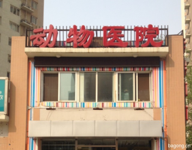 北京博爱康乐动物医院 封面大图