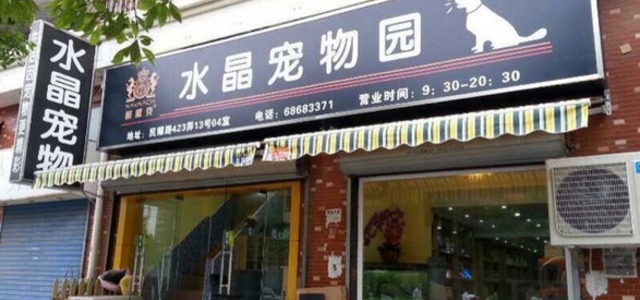 水晶宠物园(民耀店)0