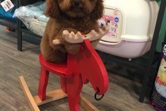 怪咖小窝6
