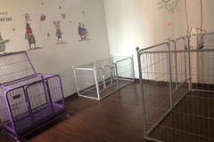 宠儿宠屋