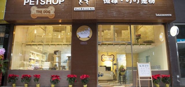 傲雄●叮叮宠物美容寄养精品店(黄浦店)0