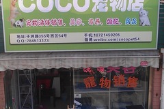 COCO宠物店1