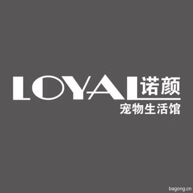 诺颜宠物生活馆 封面大图