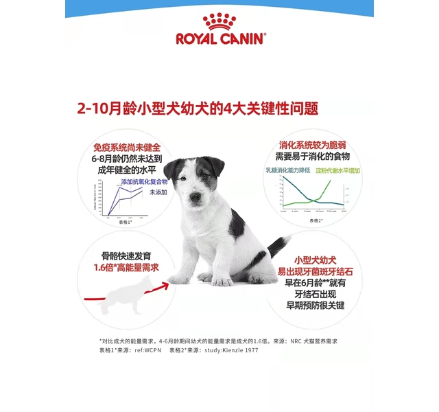 皇家 小型犬幼犬全价粮