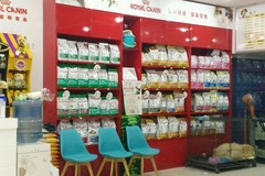 艺菲宠物店3