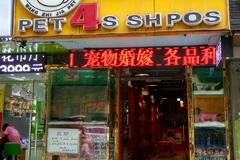 旺知佳4S宠物店0