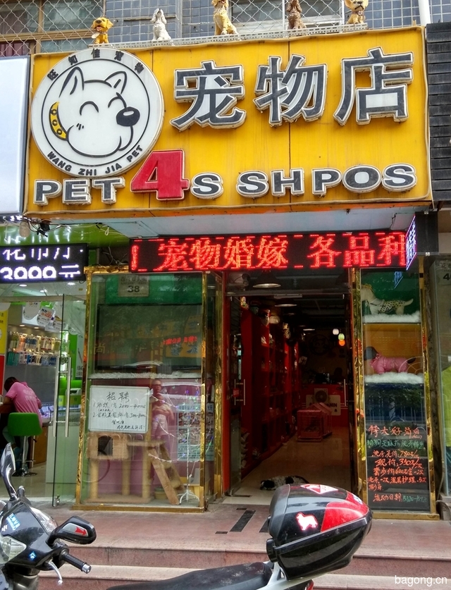 旺知佳4S宠物店 封面大图