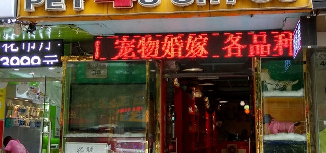 旺知佳4S宠物店0