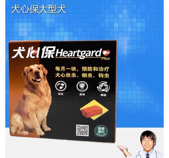 犬心保L