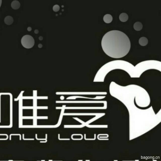 唯爱宠物俱乐部 封面大图