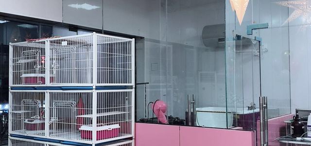 芹菜の狗屋2